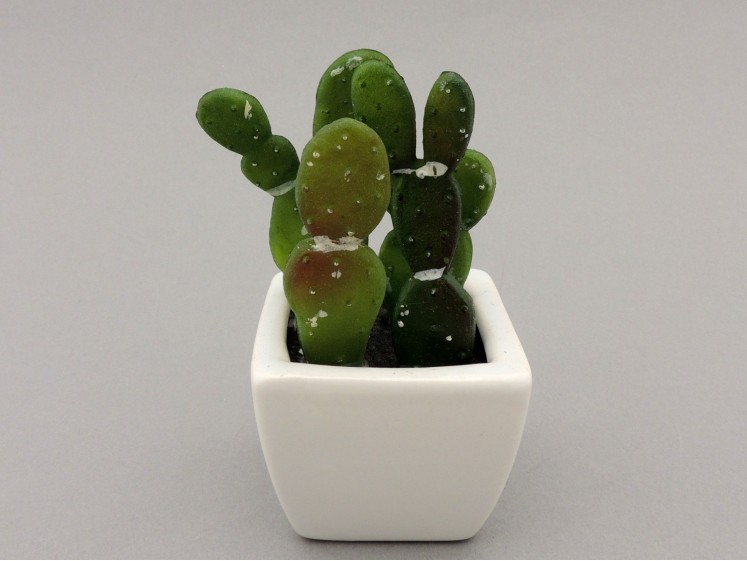 Cactus in a Pot 11cm