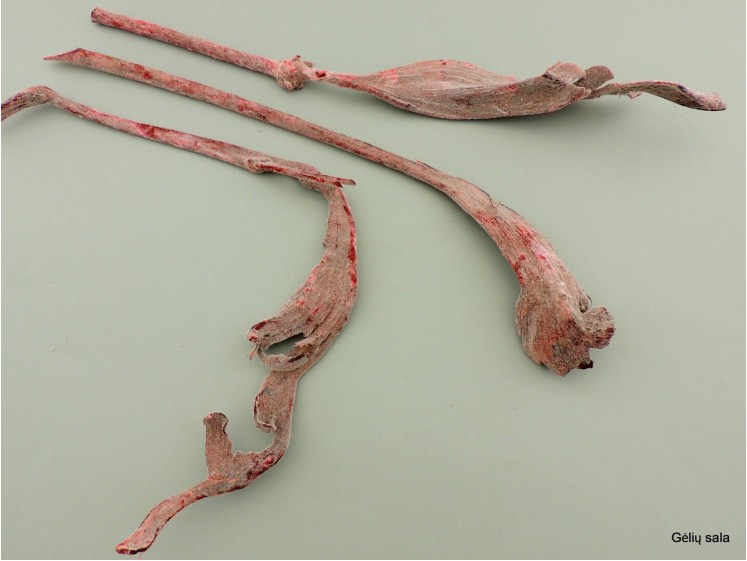 Ragai Natraj su pūkeliu rd