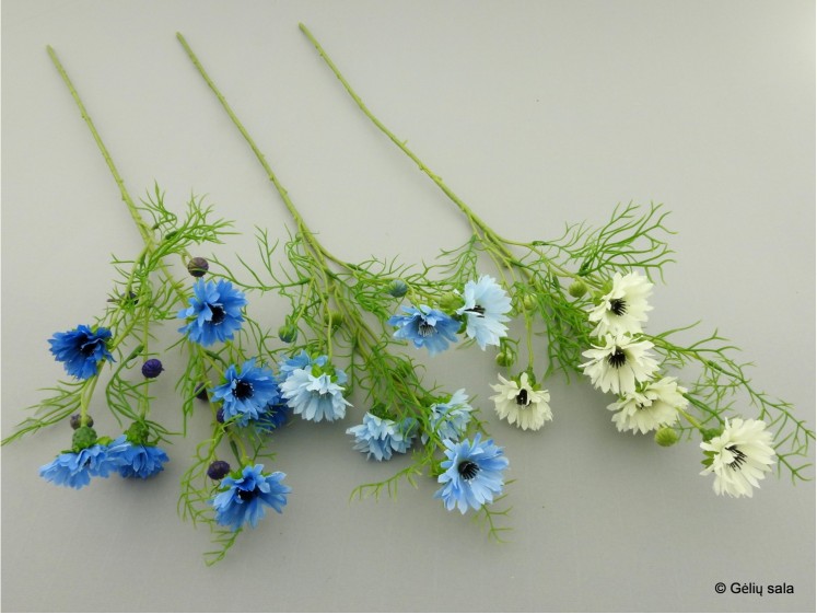 Cornflower spray