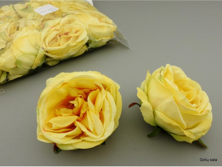 English Rose  head Yelow