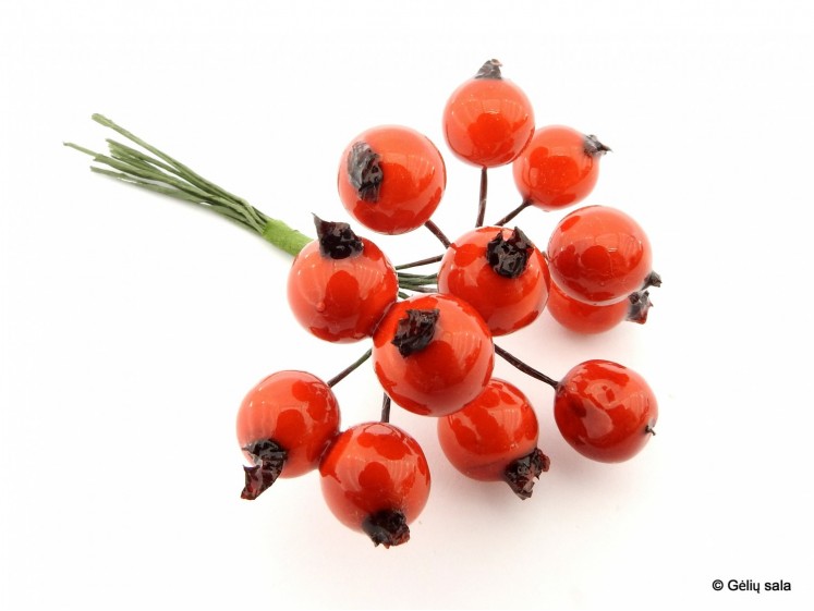 Red Berries