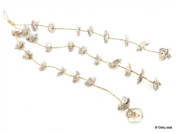 Dried Flowers on a Wire WH