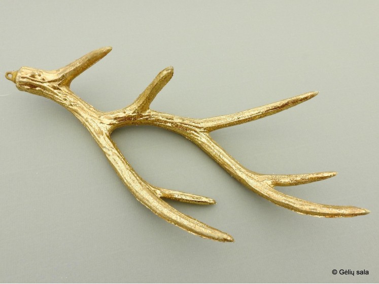 Dekoratyvinis elnio ragas