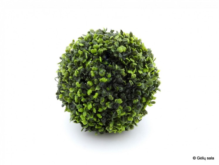 Boxwood Ball