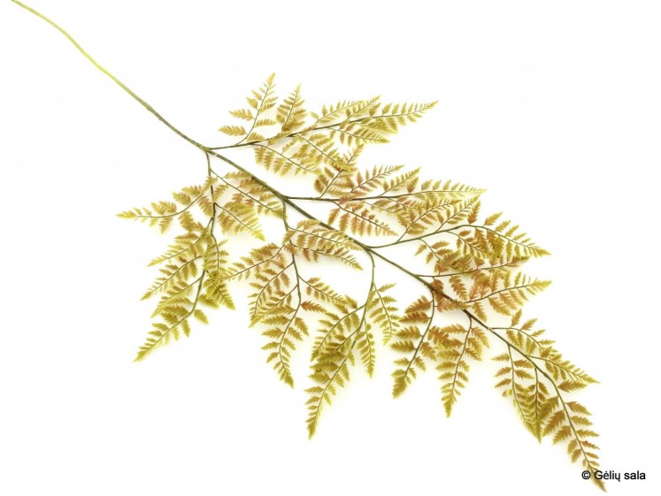 Decorative Fern Branch XXL