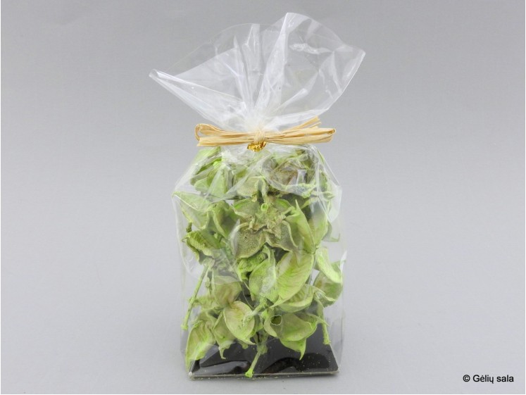 Deco Plants Bag GREEN