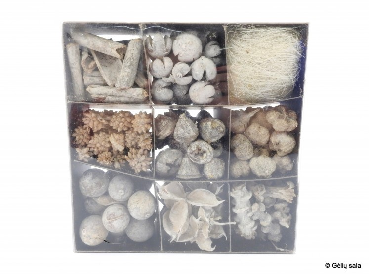 Potpourri in a Box White