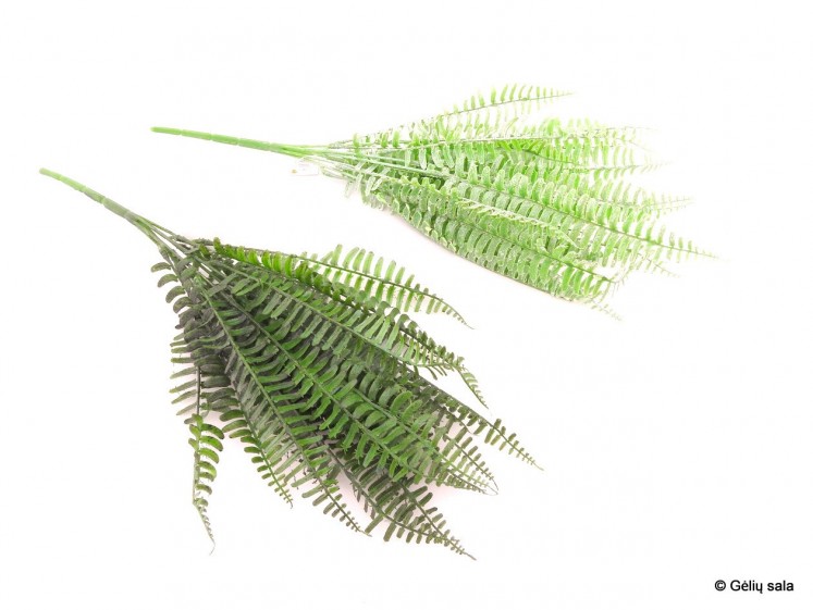 Artificial Fern