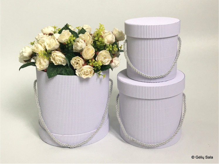 Gėlių Dėžutė 3dalių