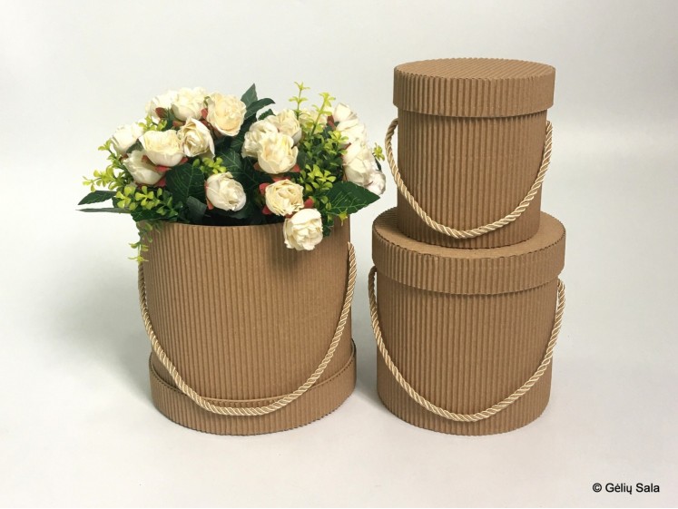 Gėlių Dėžutė 3dalių