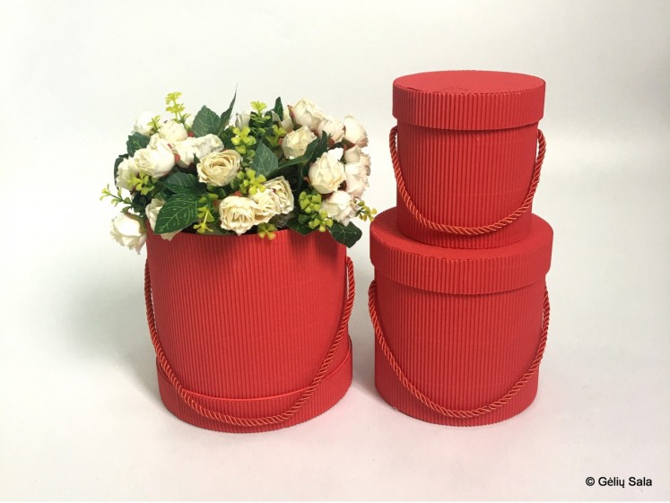 Gėlių Dėžutė 3dalių raudona