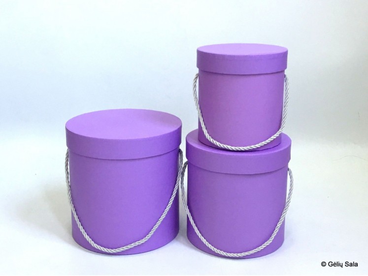 Gėlių Dėžutė 3dalių violetinė