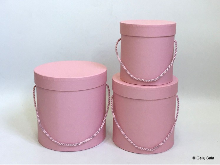 Gėlių Dėžutė 3dalių rožinė