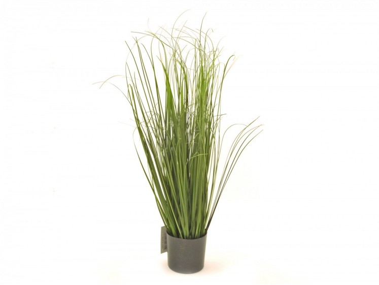 Grass in a Pot 79cm