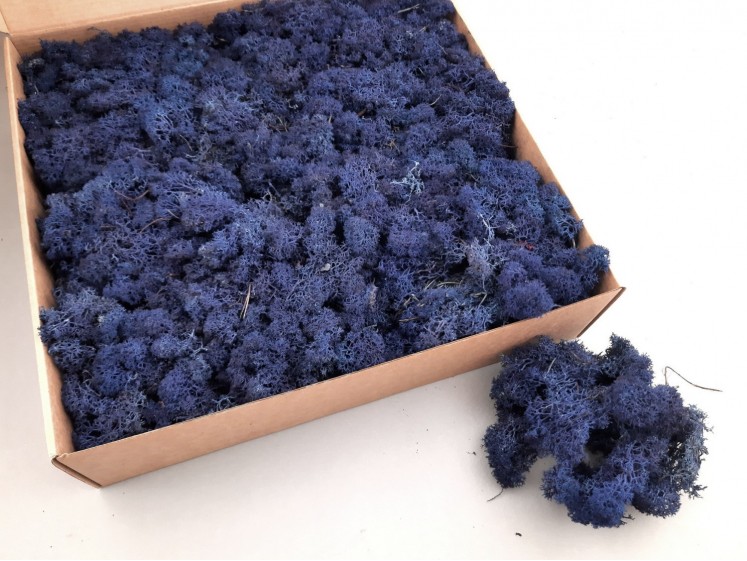 Stabilized Moss Royal Blue 1kg