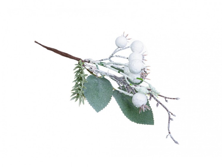 White Berry Branch