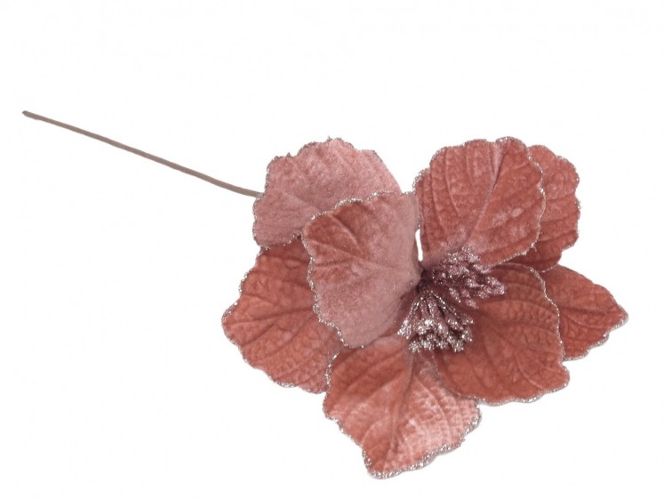 Velvet Poinsettia