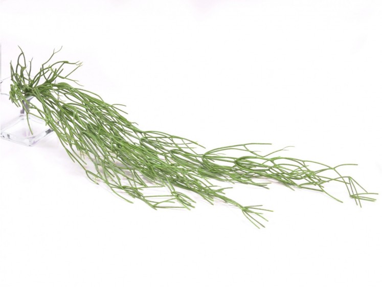 Hanging Greenery