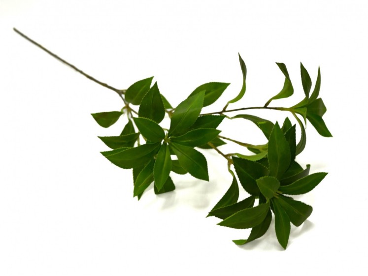 Branch greenery
