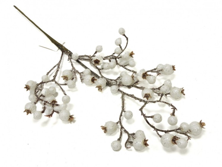 Branch with white berries