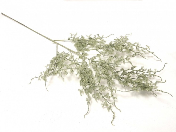 Bleached Green Branch