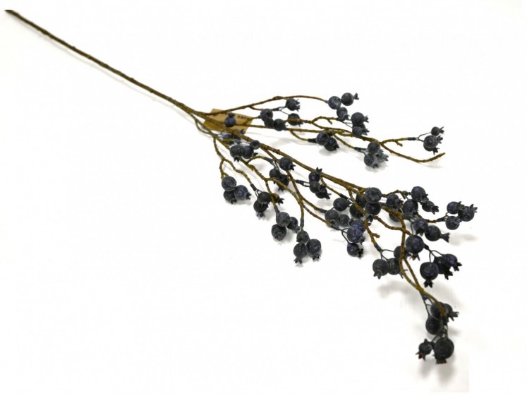 Branch with Berries