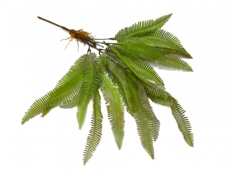 Papartis