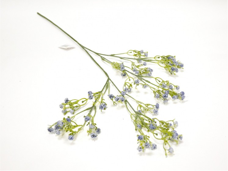 Gypsophila Blue