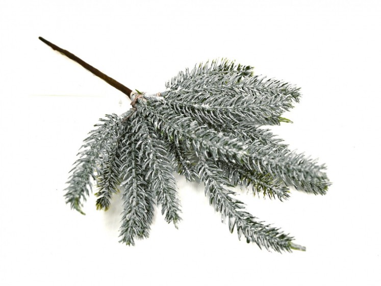 Small Snowy Pine Branch