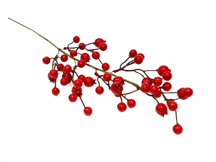 Berry branch