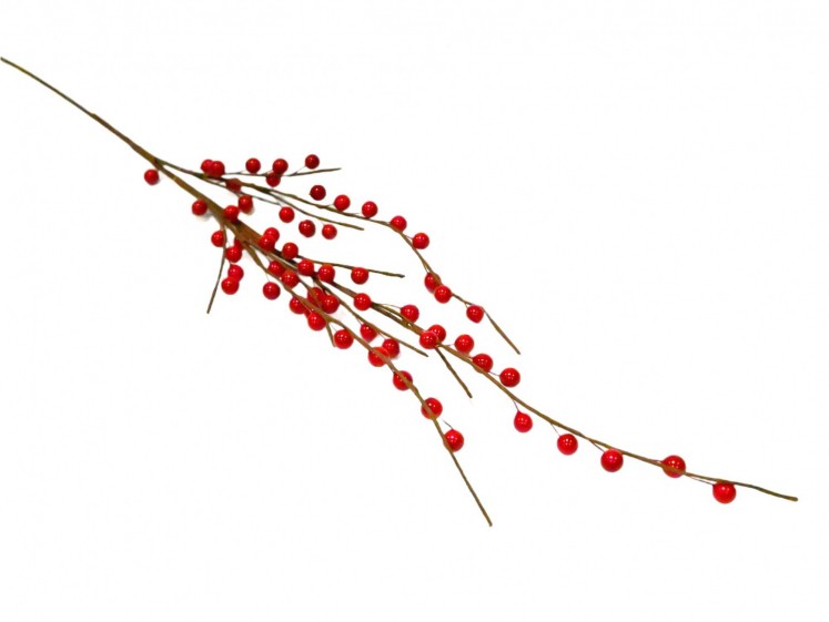 Berry branch