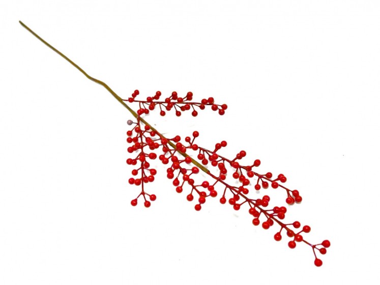 Berry Branch