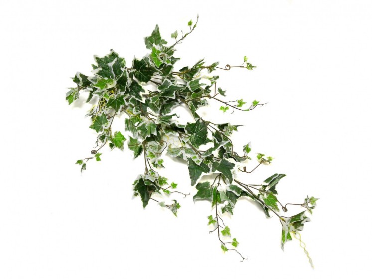 Artificial Ivy