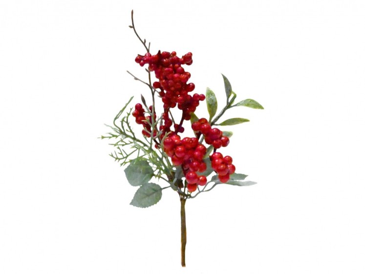 Red berry branch