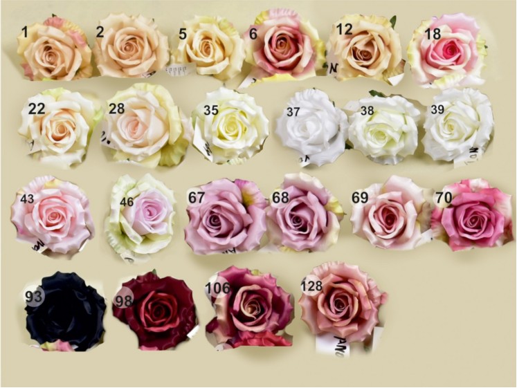 Rose heads PK.CR