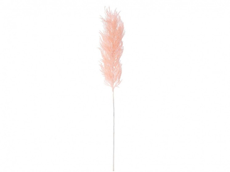 Smilga - pampas grass