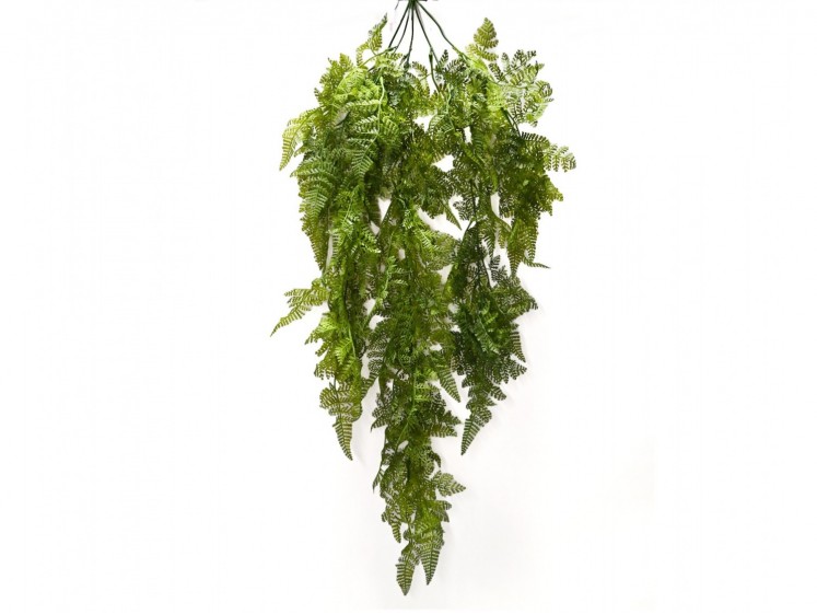 Hanging greenery fern