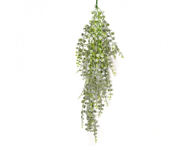 Hanging Greenery