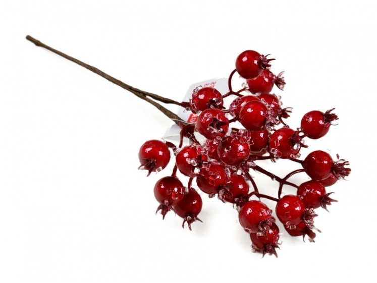 Red berries