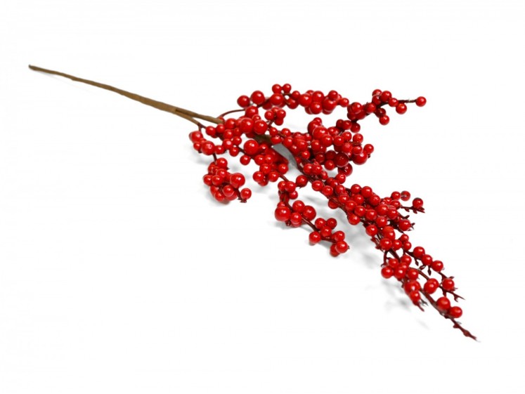 Red Berry Branches