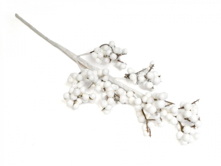 White Berry Branch