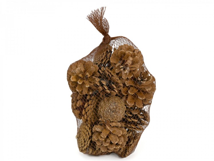 Pine Cones in a Bag 15vnt....