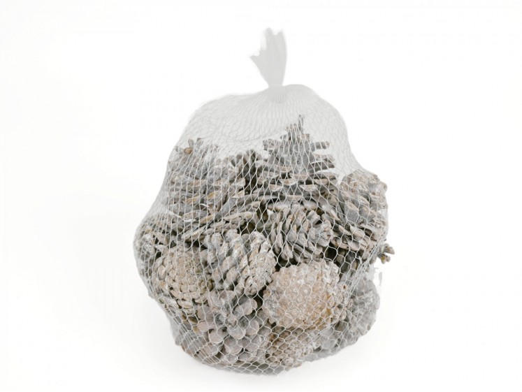 Pine Cones in a Bag 15vnt....