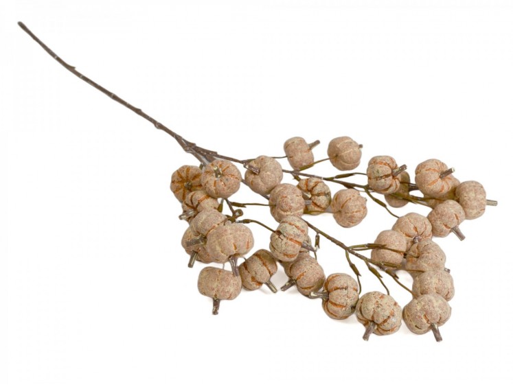 Decorative Branch