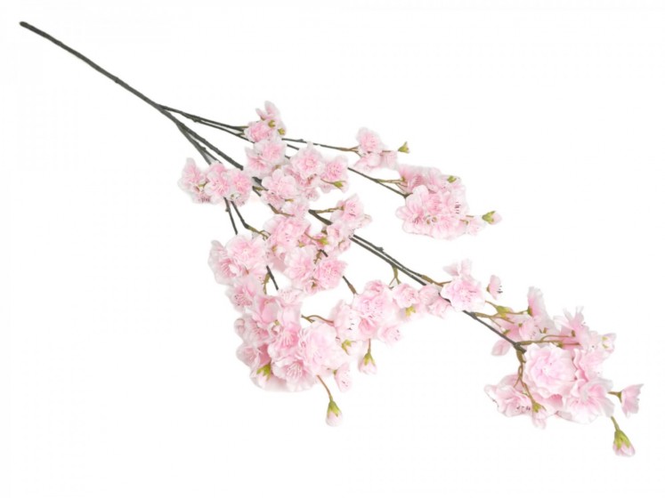 Cherry Blossom Branch