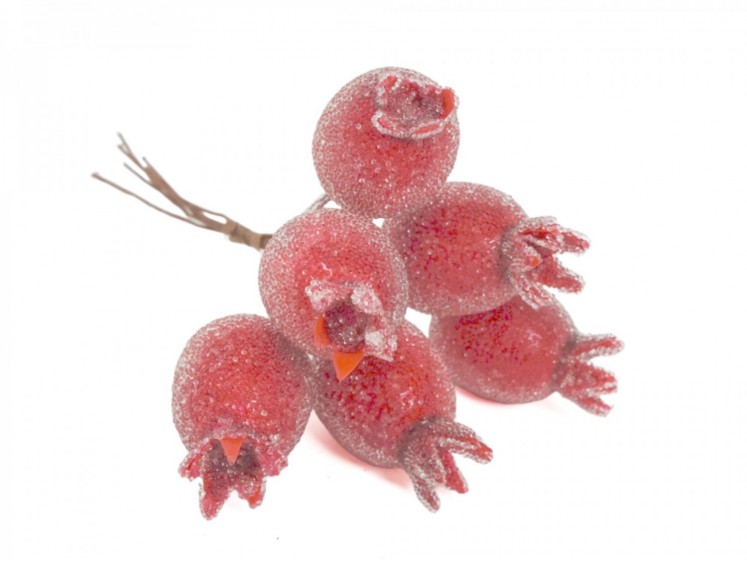 Candied Rose Hip