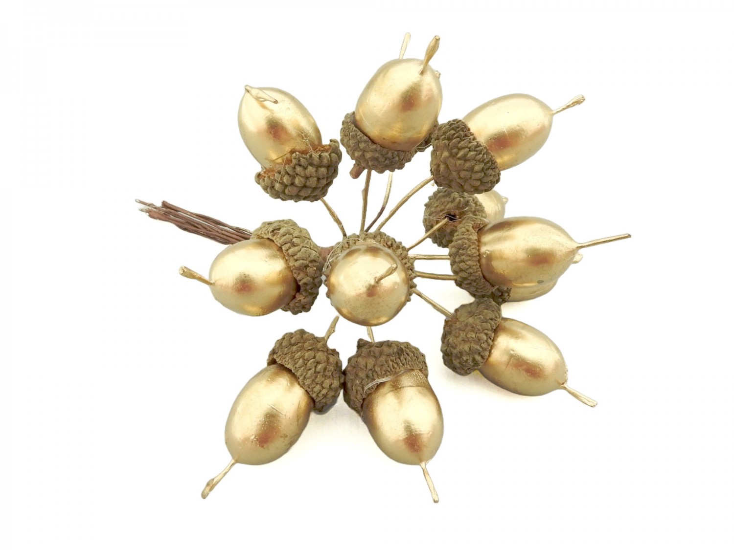 Gold Acorns