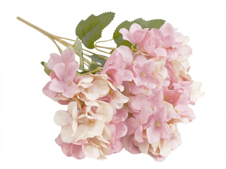 Hydrangea Bouquet