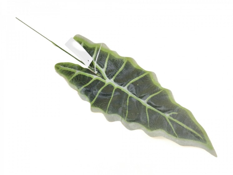 Leaf