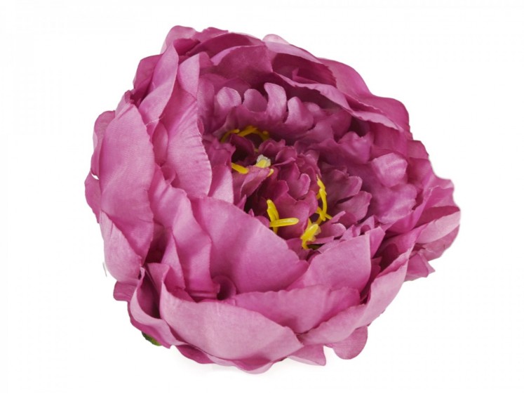 Peony Head Lavander